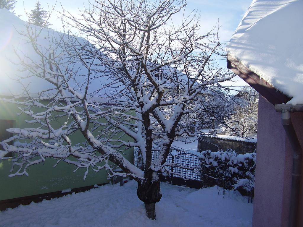 Privat Erika Daire Liptovský Ján Oda fotoğraf